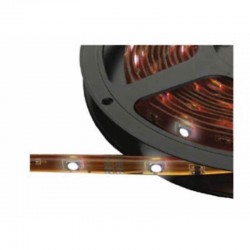  CL5500370 