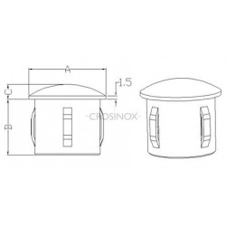 EMBOUT CREUX  BOMBE POUR TUBE D60,3MM,AISI316 BROSSE